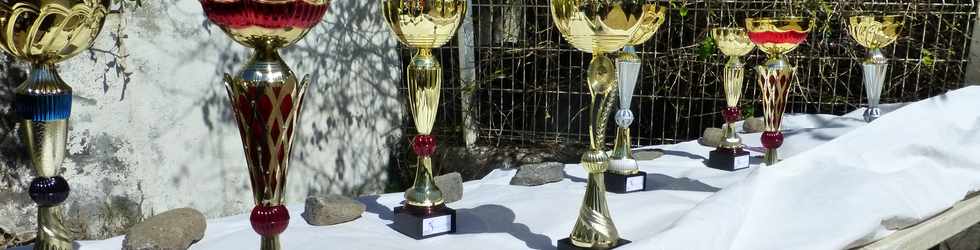 17 septembre 2016 - St-Pierre - Pierrefonds - Journées du patrimoine -  Coupes tournoi de dominos