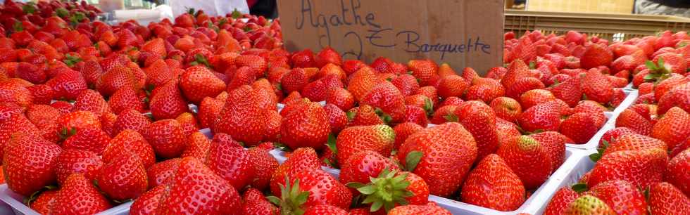 12 novembre 2016 - St-Pierre - March forain - Fraises Agathe