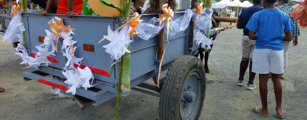 19 novembre 2016 - St-Louis - Fte de la canne - Amicale des Planteurs et Charretiers de Bois de Nfles Cocos -  Moulin  mas - Dfil des charrettes-boeufs