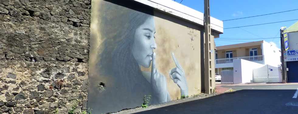 27 novembre 2016 - St-Pierre - Terre Sainte - Rue St-Expédit -  Graf de l'artiste Méo