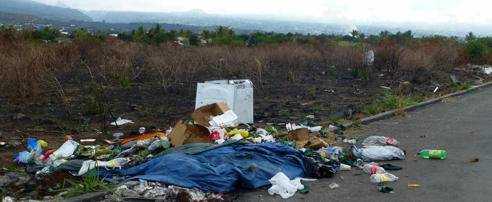 30 novembre 2016 - St-Louis - Dépôts d'ordures chemin Piton