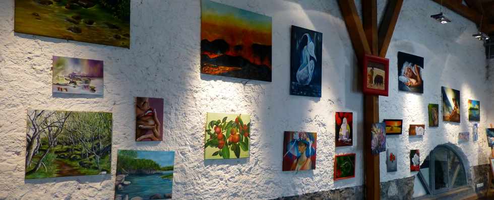 30 novembre 2016 - St-Louis - Moulin  mas - Expo peinture - Christophe Jonas et ses lves