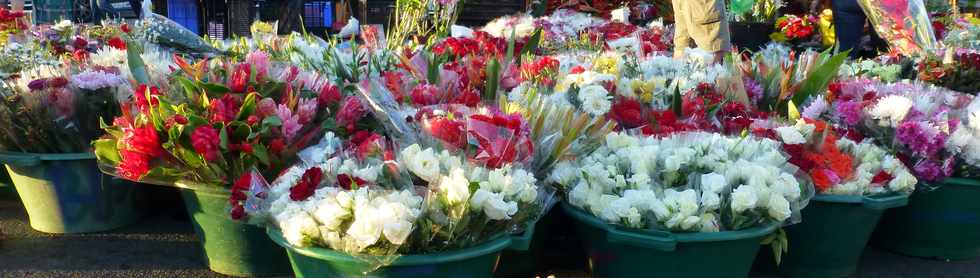 10 dcembre 2016- St-Pierre - March forain - Fleurs