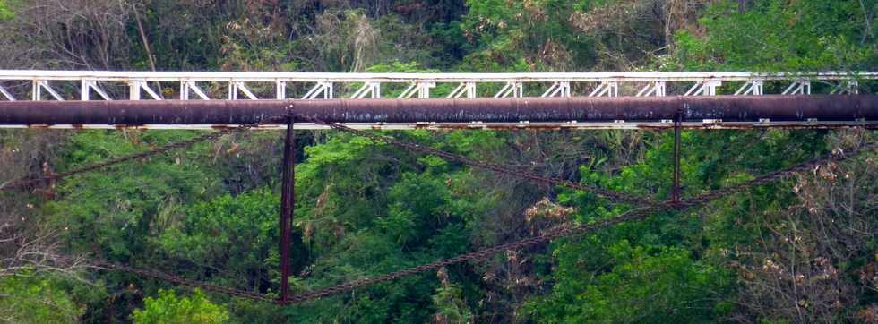 16 janvier 2017 - St-Pierre - Basse Terre -Rivire d'Abord - Canal tube