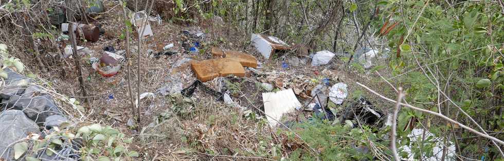 16 janvier 2017 - St-Pierre - Basse Terre - Ancien trac du Canal St-Etienne