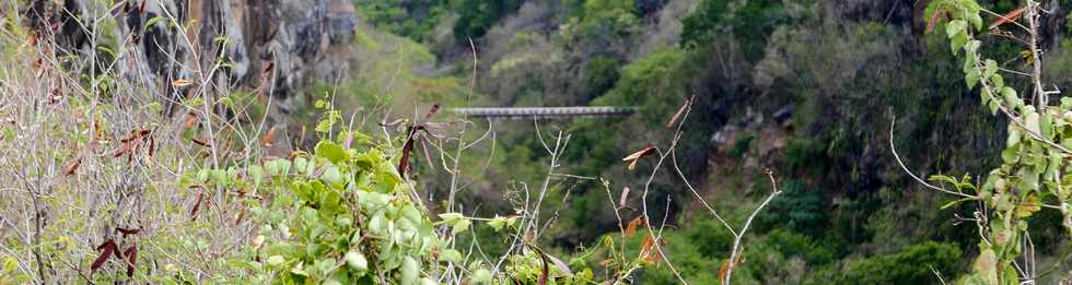 16 janvier 2017 - St-Pierre - Basse Terre - Ancien trac du Canal St-Etienne - Pont tube