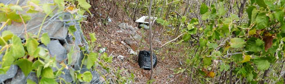 16 janvier 2017 - St-Pierre - Basse Terre - Ancien trac du Canal St-Etienne