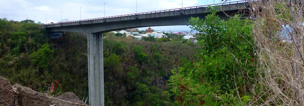 16 janvier 2017 - St-Pierre - Basse Terre -Rivire d'Abord