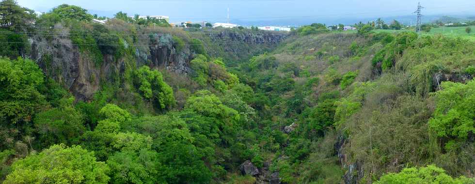 16 janvier 2017 - St-Pierre - Basse Terre -Rivire d'Abord