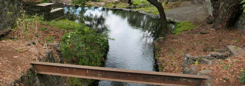 27 janvier 2017 - St-Pierre - Bois d'Olives - Ruines du trac du canal St-Etienne - Partie encore en eau -  Canal de dcharge