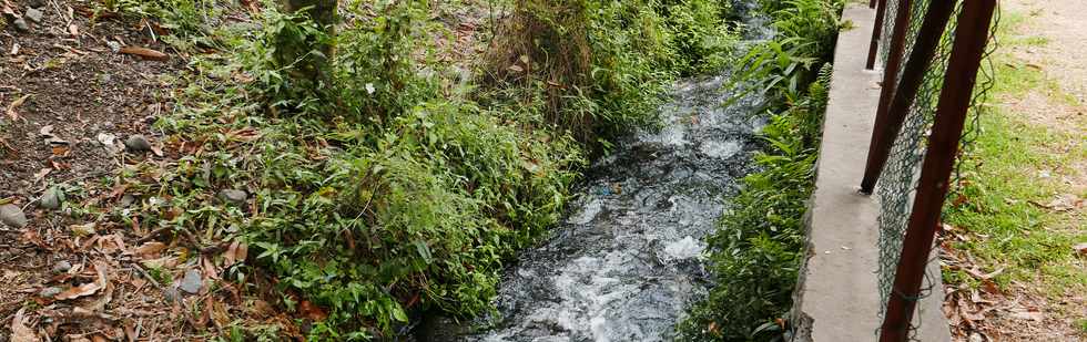 27 janvier 2017 - St-Pierre - Bois d'Olives - Ruines du trac du canal St-Etienne - Partie encore en eau -