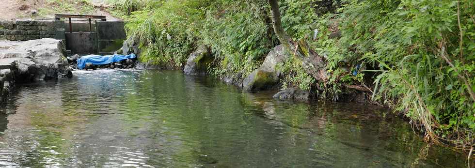 27 janvier 2017 - St-Pierre - Bois d'Olives - Ruines du trac du canal St-Etienne - Partie encore en eau -