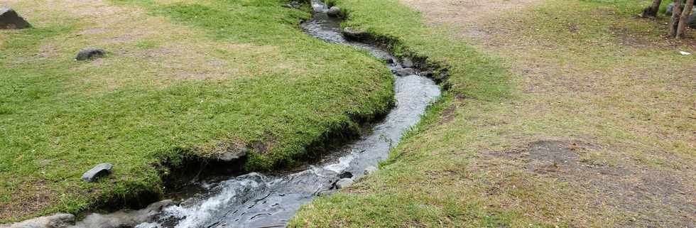 27 janvier 2017 - St-Pierre - Bois d'Olives - Ruines du trac du canal St-Etienne - Partie encore en eau -  Canal de dcharge