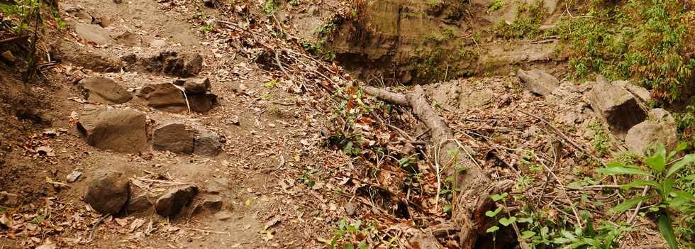 27 janvier 2017 - Route de l'Entre-Deux - Chantier d'insertion JADES - Sentier touristique du pont du Bras de la Plaine