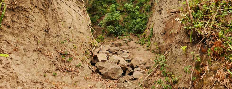 27 janvier 2017 - Route de l'Entre-Deux - Chantier d'insertion JADES - Sentier touristique du pont du Bras de la Plaine -