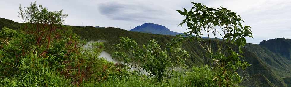 28 mars 2017 - Plaine des Palmistes -  Grande Monte - Vue sur le Piton des Neiges -