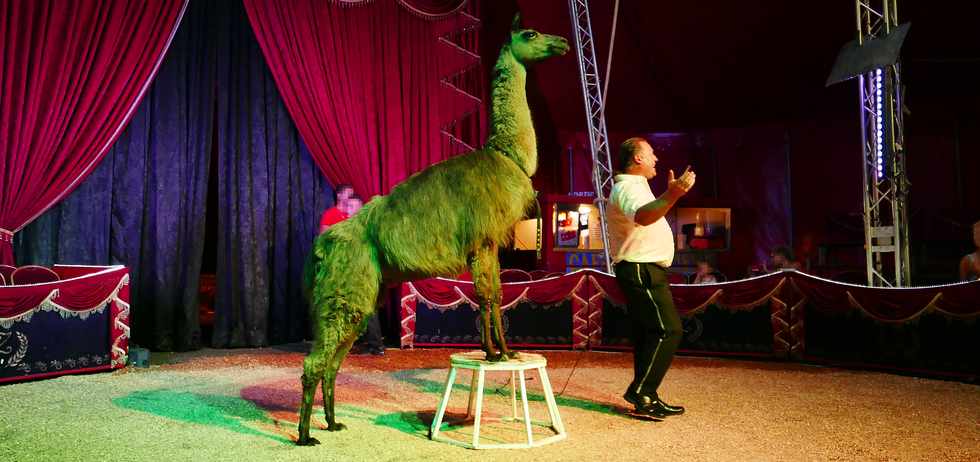 14 avril 2017 - St-Pierre - Cirque Achille Zavatta - Serge le lama