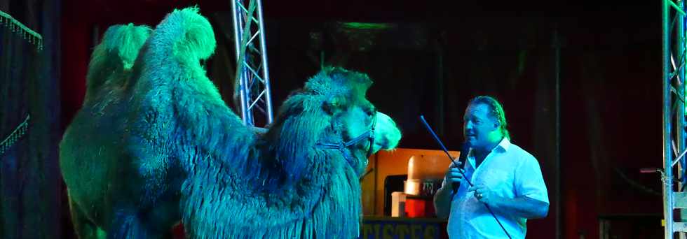14 avril 2017 - St-Pierre - Cirque Achille Zavatta - Ivanov le chameau