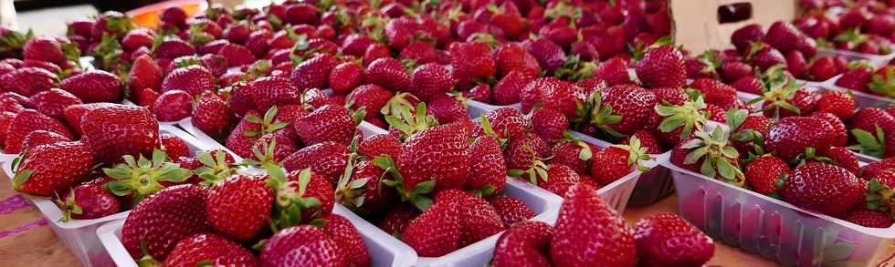 4 novembre 2017 - St-Pierre - March forain - Fraises