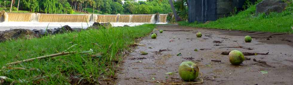 19 janvier 2018 - St-Pierre - Rivire d'Abord en crue - Tempte Berguitta -Rive gauche