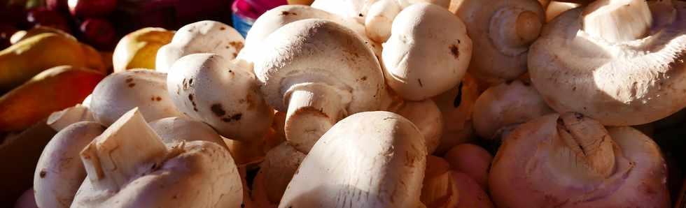 27 janvier 2018 - St-Pierre - March forain - Champignons de Frdeline