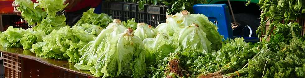 27 janvier 2018 - St-Pierre - March forain - Salades