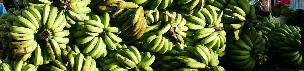 27 janvier 2018 - St-Pierre - Marché forain - Regimes de bananes