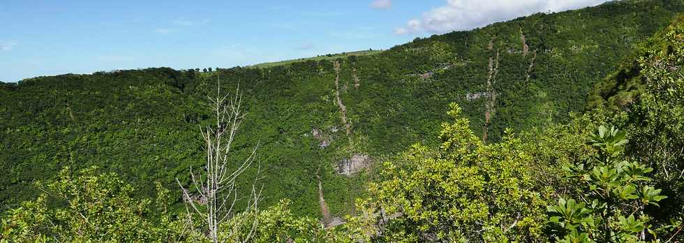 29 janvier 2018 - Entre-Deux -Coteau Sec - Vue sur boulis falaise de rive droite du Bras de Cilaos -