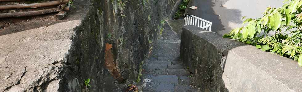 8 fvrier 2018 - St-Denis - Escalier Ti Quat Sous  -