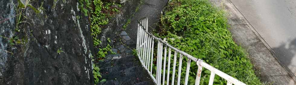 8 fvrier 2018 - St-Denis - Escalier Ti Quat Sous  -