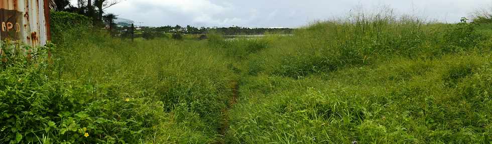 4 mars 2018 - St-Pierre - Cap Rond - Saline Balance - Pointe du Diable - Travaux d'amnagement du littoral ouest -