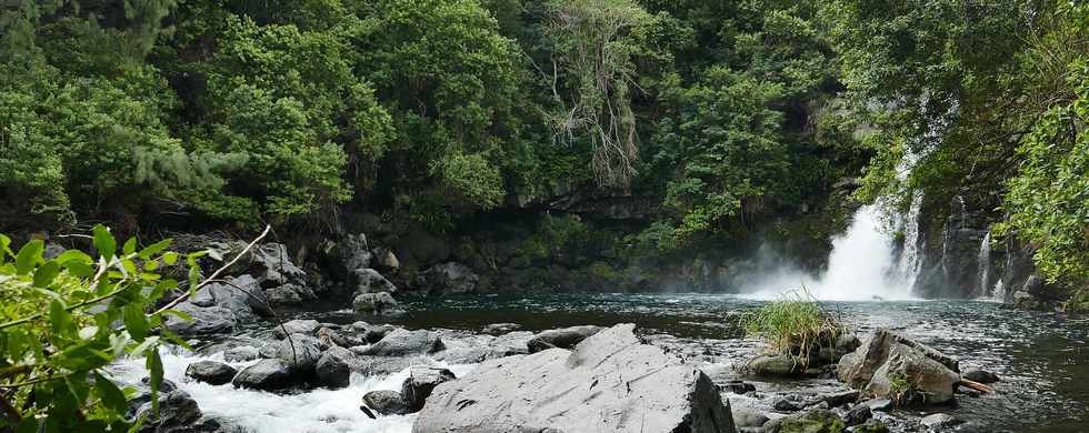 2 avril 2018 - St-Joseph -Rivire Langevin (rive gauche ) - Vers la cascade Jacqueline -