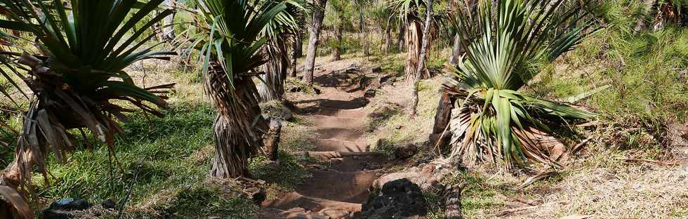 17 octobre 2018 - Petite-le - Grande Anse - Descente vers le Cap Auguste