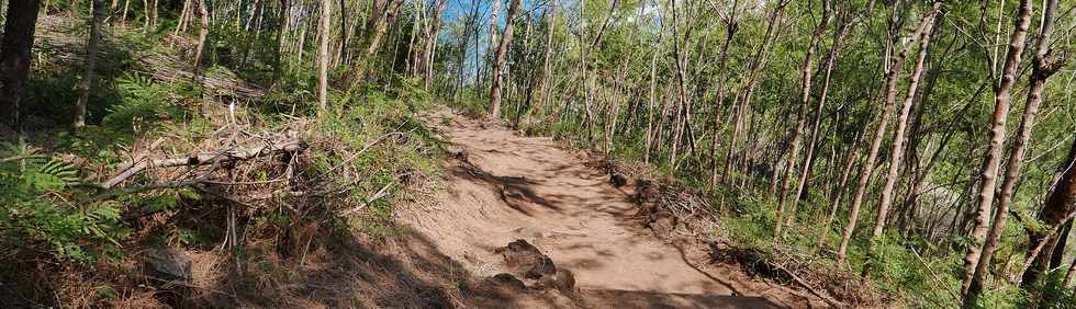 17 octobre 2018 - Petite-le - Grande Anse - Descente vers la plage