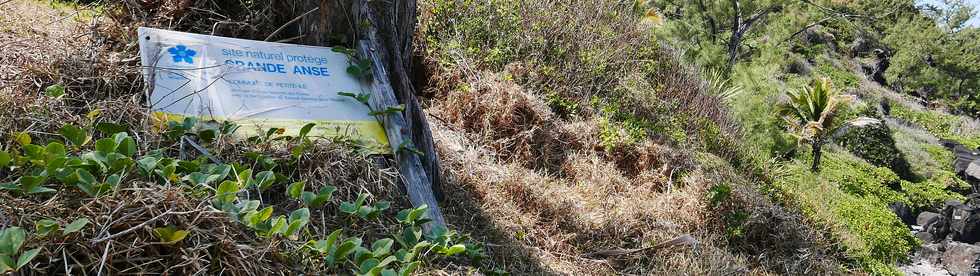 17 octobre 2018 - Petite-le - Grande Anse - Espace naturel protg