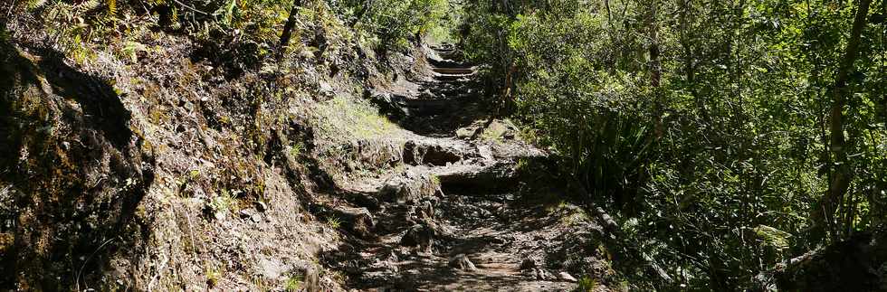 25 octobre 2018 - Cilaos - Sentier vers le col du Tabit - Marches