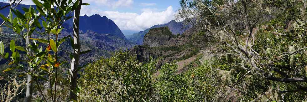 25 octobre 2018 - Cilaos - Sentier vers le col du Tabit -