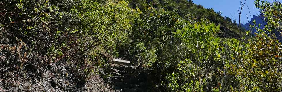 25 octobre 2018 - Cilaos - Sentier vers le col du Tabit -