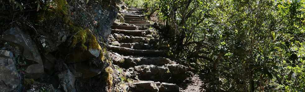 25 octobre 2018 - Cilaos - Sentier vers le col du Tabit -