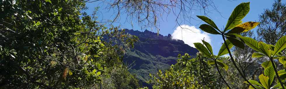 25 octobre 2018 - Cilaos - Sentier vers le col du Tabit -