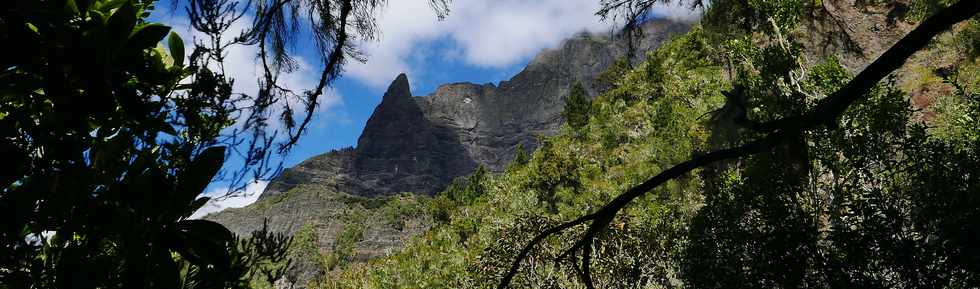 25 octobre 2018 - Cilaos - Sentier vers le col du Tabit -