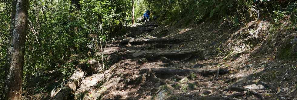 25 octobre 2018 - Cilaos - Sentier vers le col du Tabit -