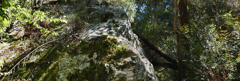 25 octobre 2018 - Cilaos - Sentier vers le col du Tabit -