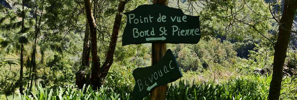 25 octobre 2018 - Cilaos - Sentier vers le col du Tabit - Ilet des Salazes - Bord St-Pierre