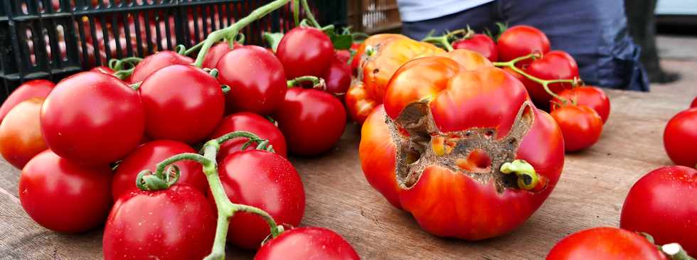 17 novembre 2018 - St-Pierre - March forain - Tomates