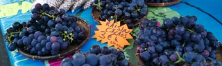 12 janvier 2019 - Marché forain de St-Pierrre - raisins de Palmiste Rouge