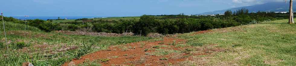 3 mars 2019 - St-Pierre - ZAC Canabady -Vue vers l'alle jacquot