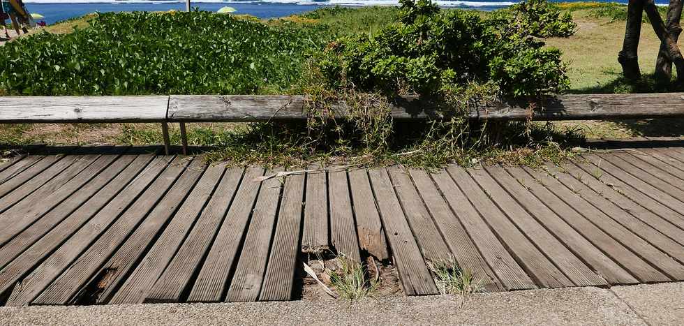 3 mars 2019 - St-Pierre - Front de mer - Jardins de la plage