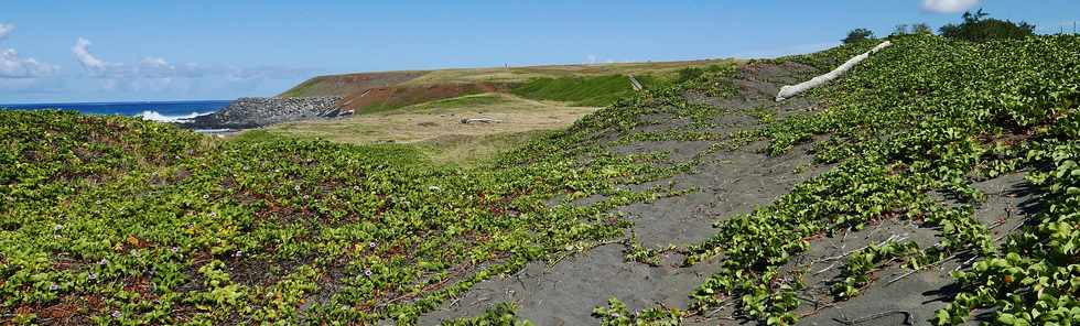 10 mars 2019 - St-Pierre - Saline Balance - Amnagement du littoral ouest  - Dunes et Cap Rond