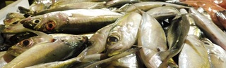 2019-St-Pierre -P�ches cavales au march� forain